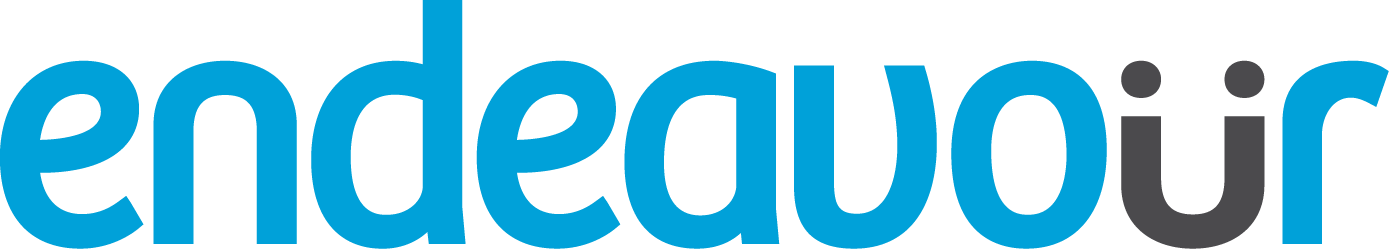 Endeavour Solutions logo